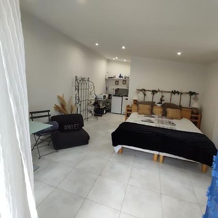 Studio Independant Dans Villa, Parking Gratuit. Кастельно-ле-Лез Экстерьер фото