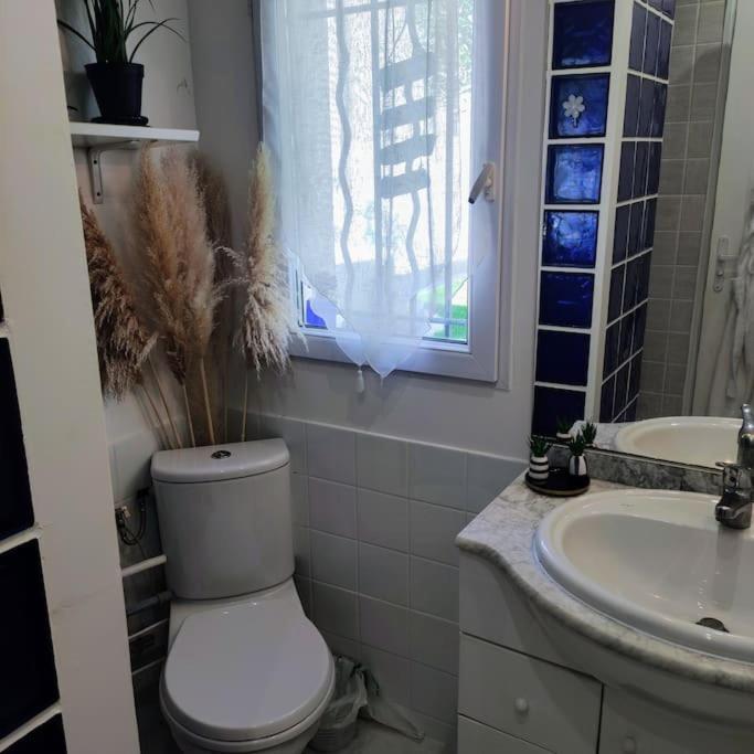 Studio Independant Dans Villa, Parking Gratuit. Кастельно-ле-Лез Экстерьер фото